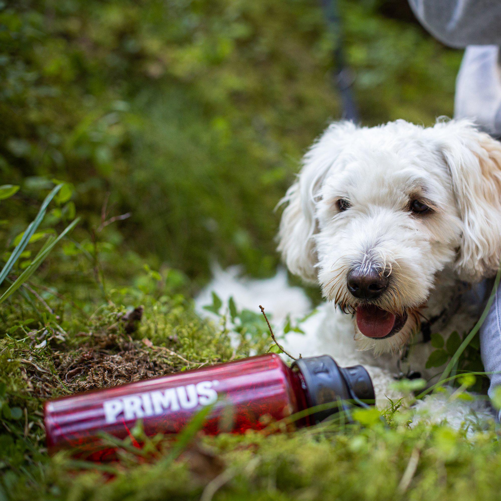 P740105_trailbottle-tritan_stina-hjelm_2019-02-lifestyleImages