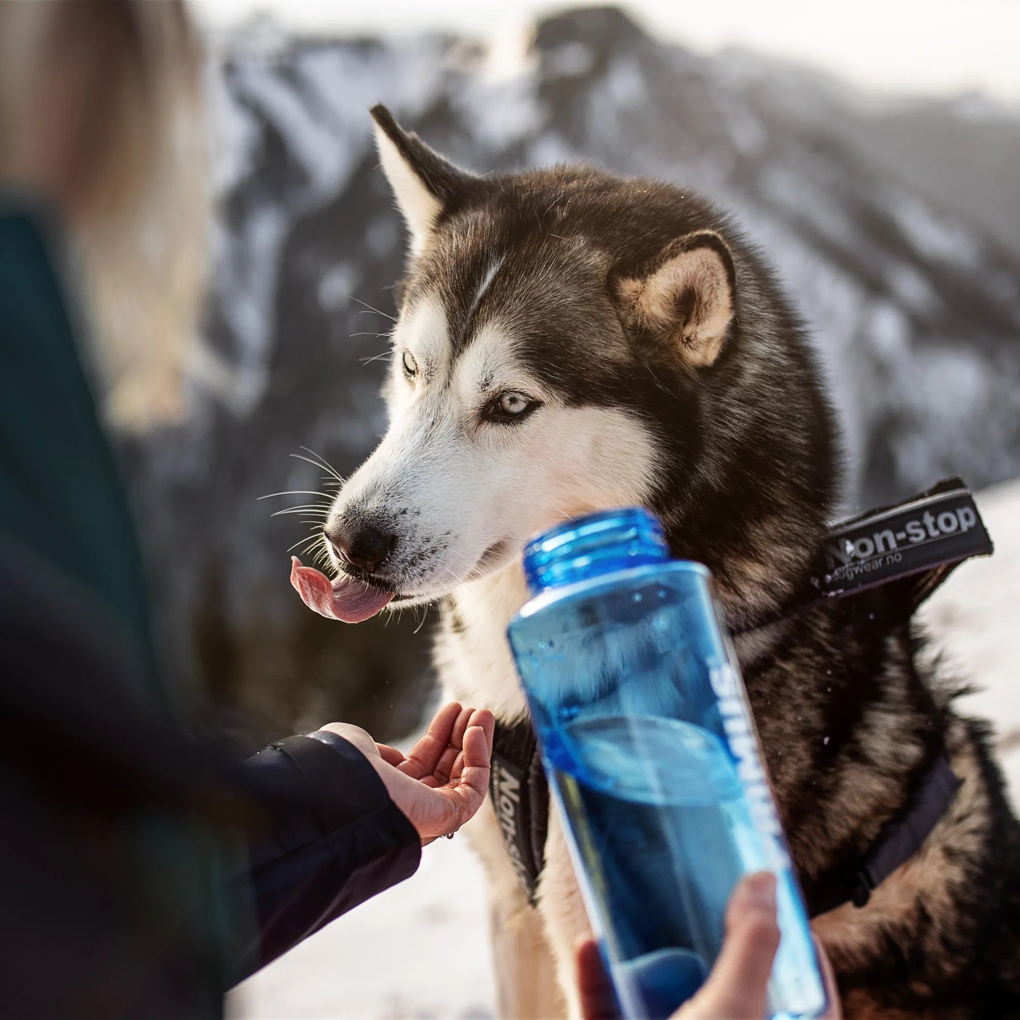 P740110_trailbottle-tritan_helge_röske_2021-01